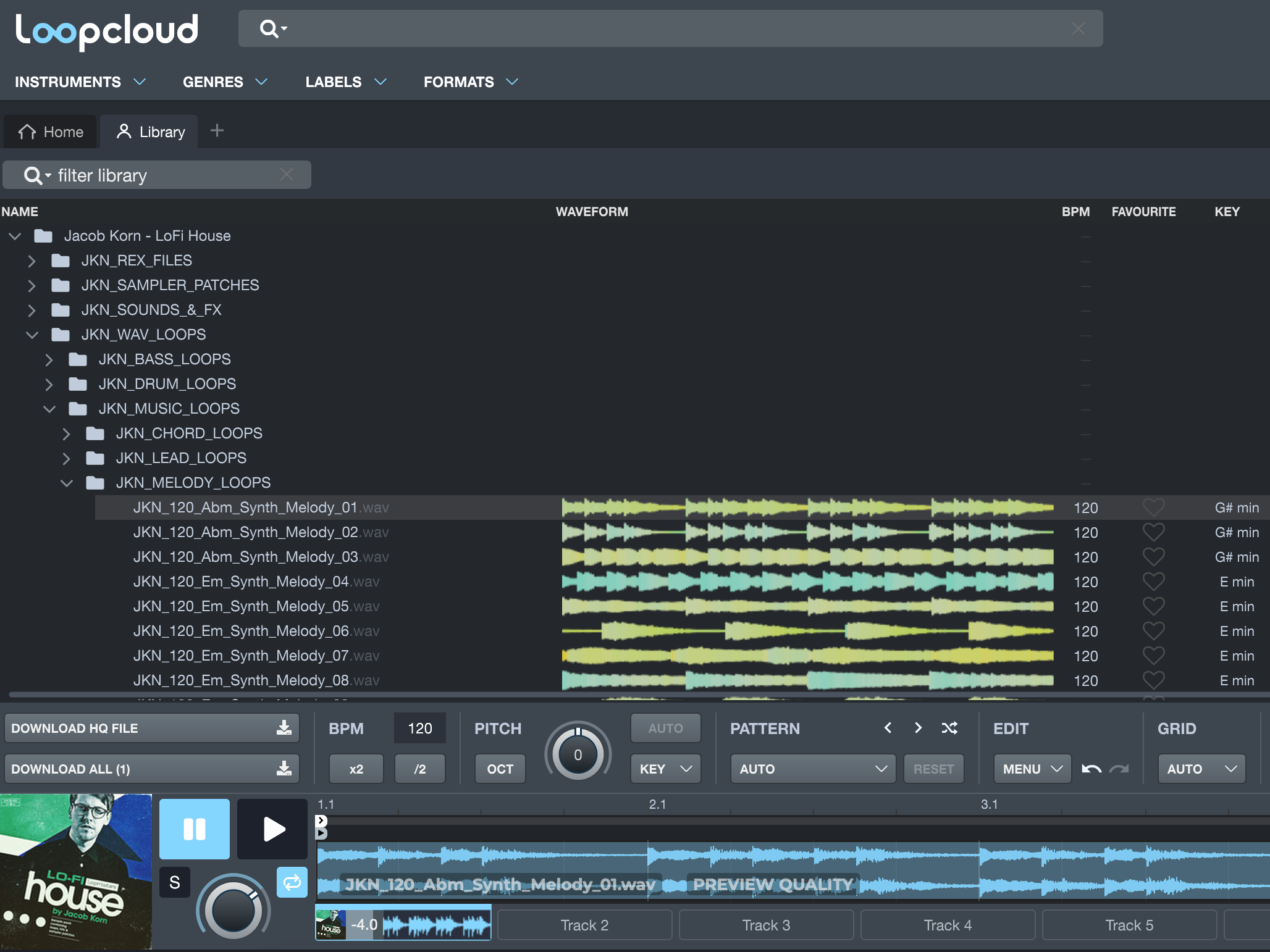 LOOPMASTERS LoFi-House Library (880files 1,31GB) by Jacob Korn - Image 3